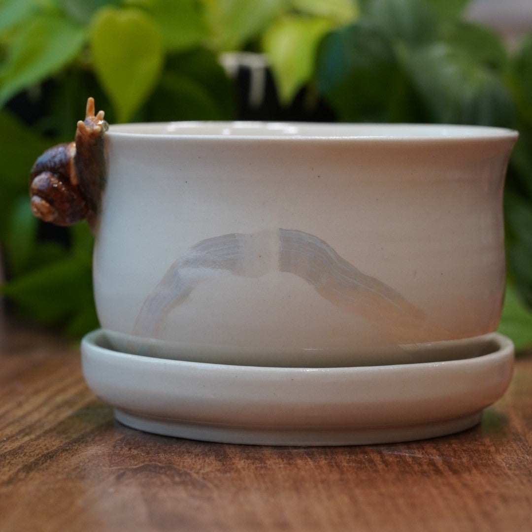 Plant Pots
