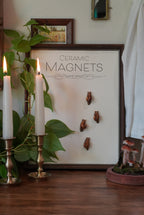 Miniature Snail Magnet