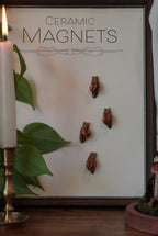 Miniature Snail Magnet