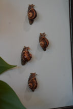 Miniature Snail Magnet