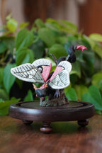 Petalsweep, The 3D Sculpted Dragon with Embroidered Wings