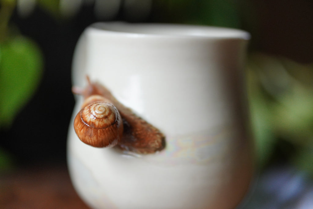 Sculpted snail on a white ceramic cup with a blurred natural background