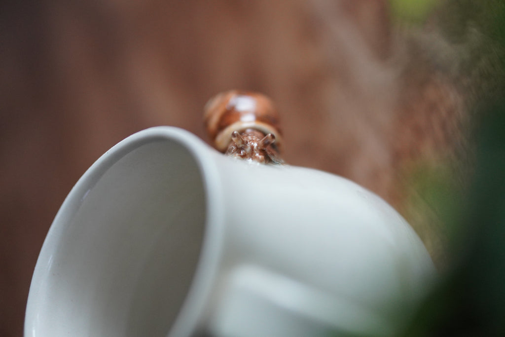 Custom Order 3D Snail Mug