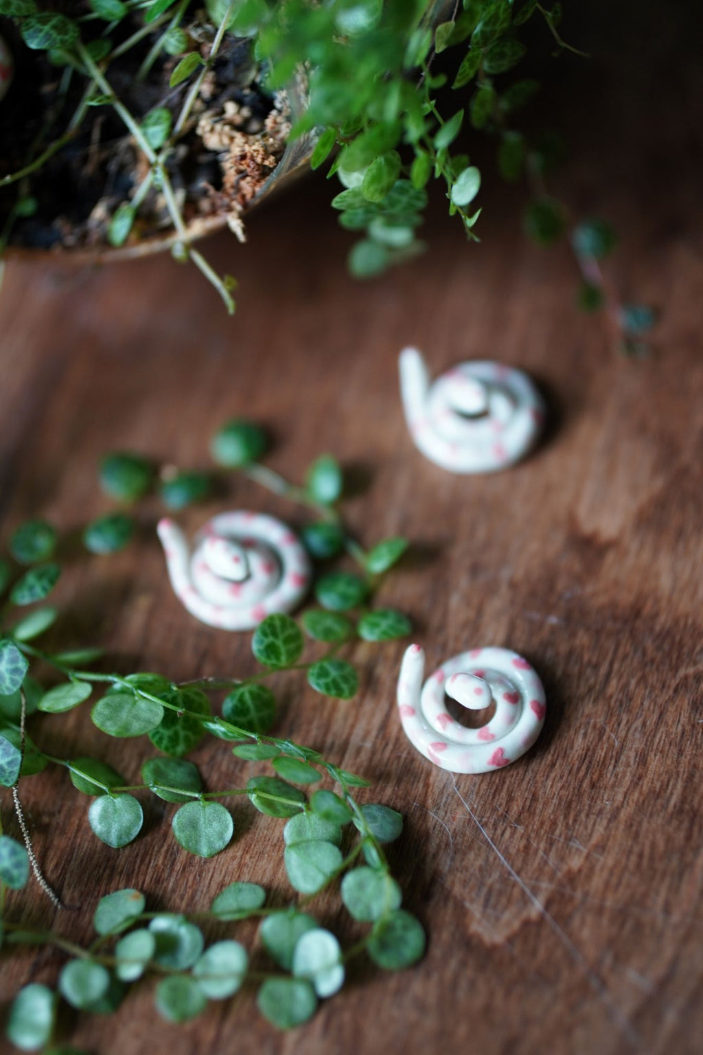 Heart Snake Miniature