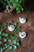 Heart Snake Miniature