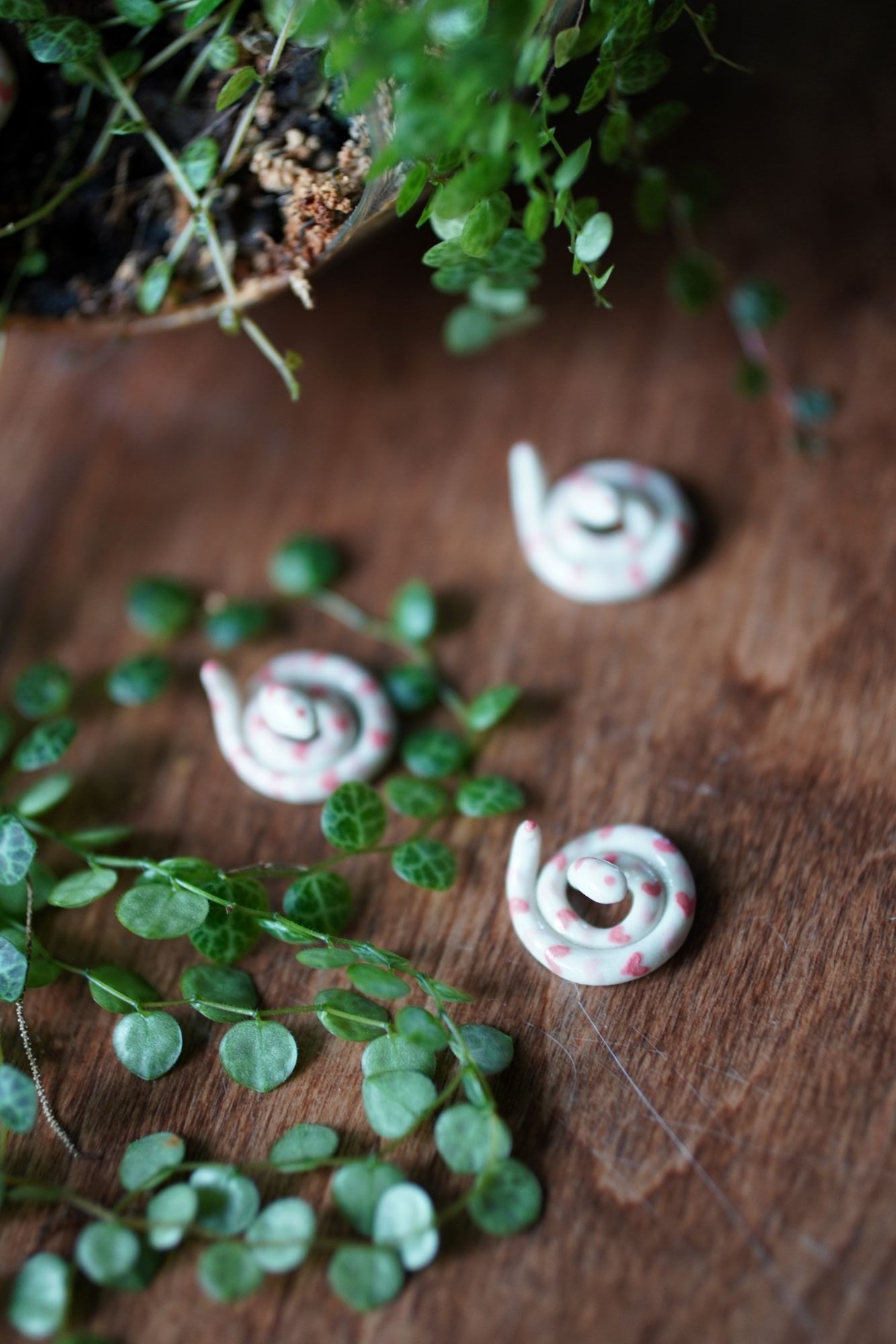 Heart Snake Miniature