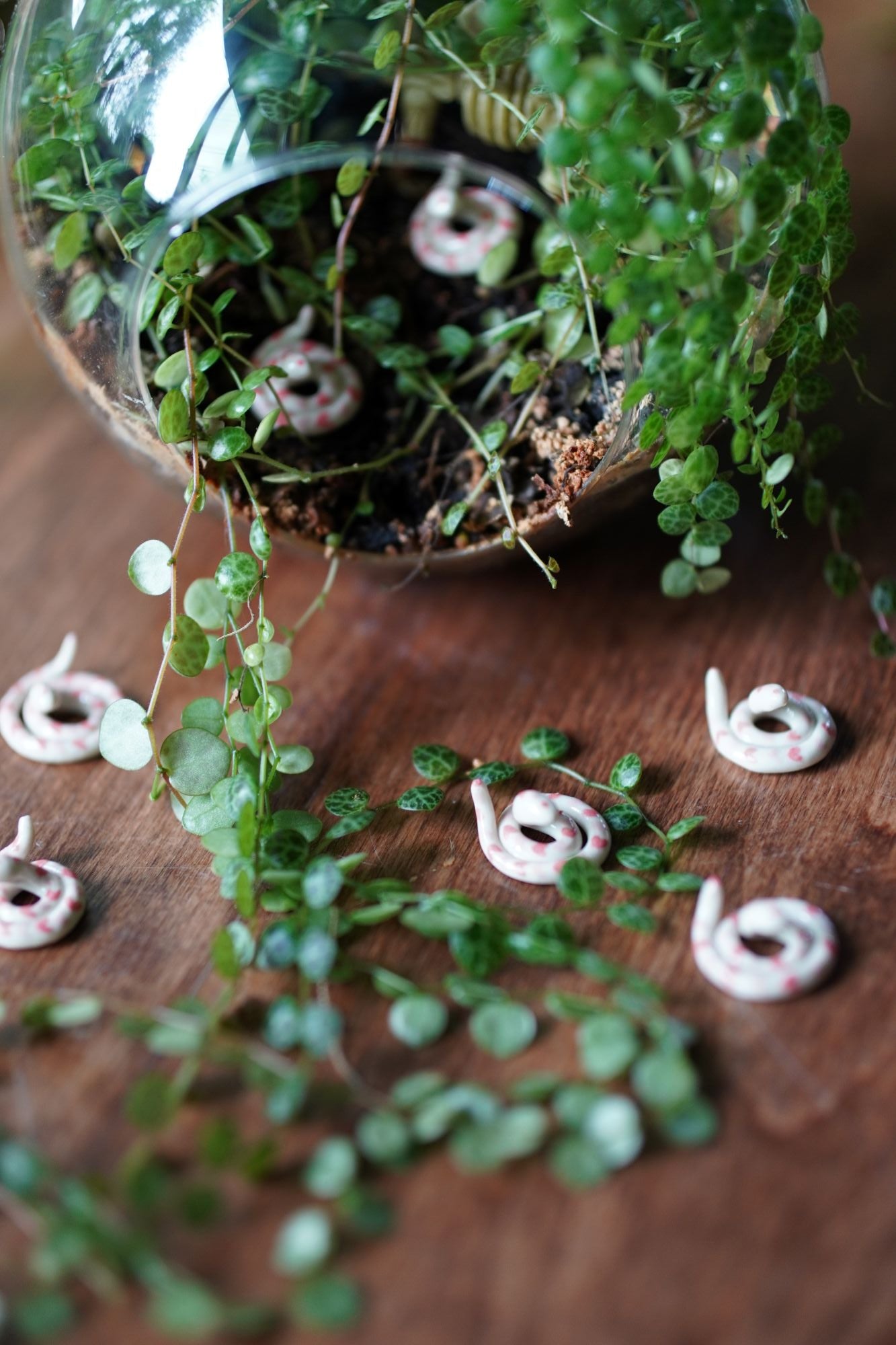 Heart Snake Miniature