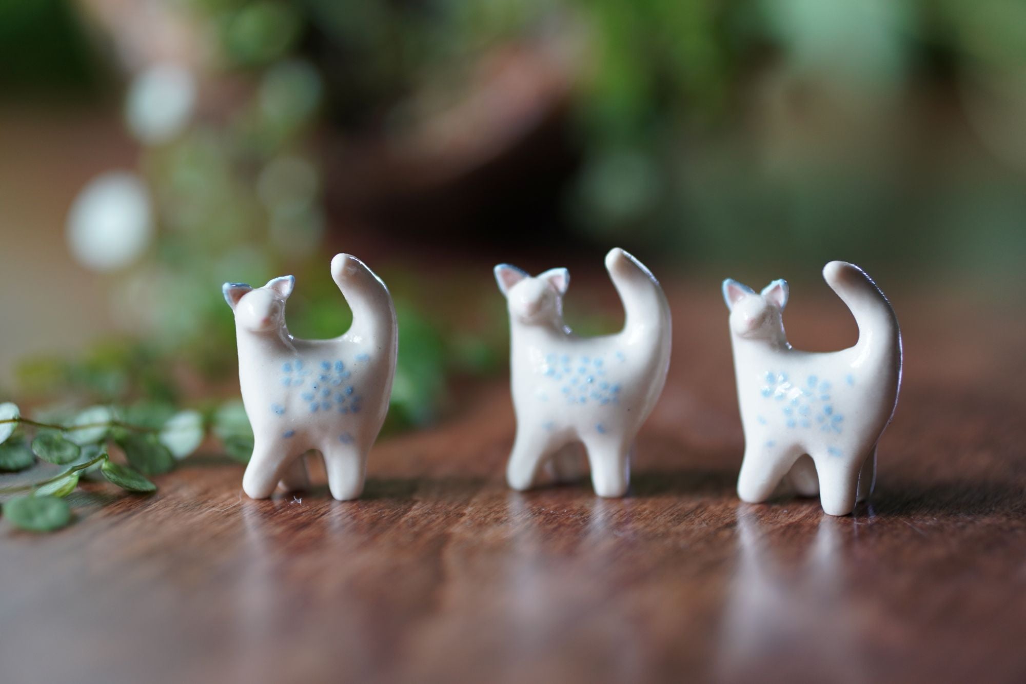 Cat Miniature