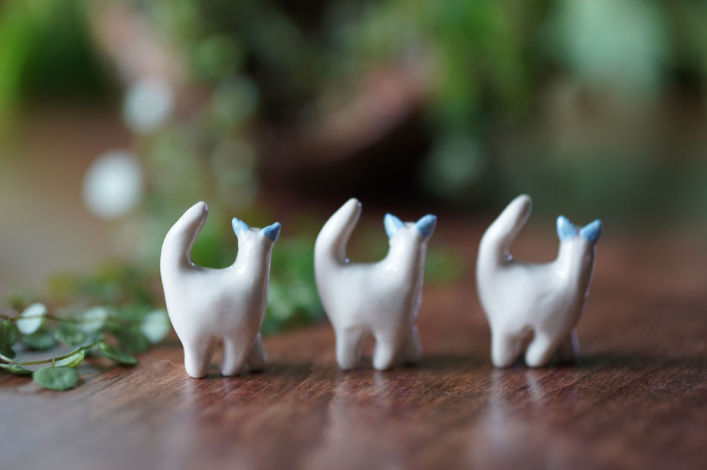 Cat Miniature