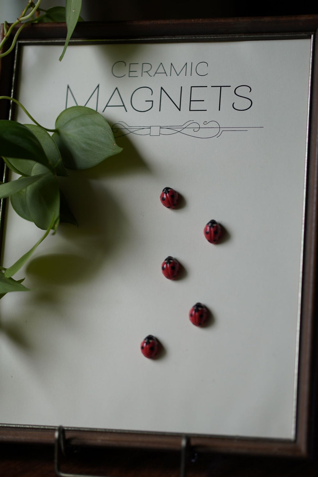 Ladybug Magnets