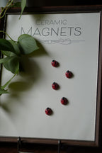 Ladybug Magnets
