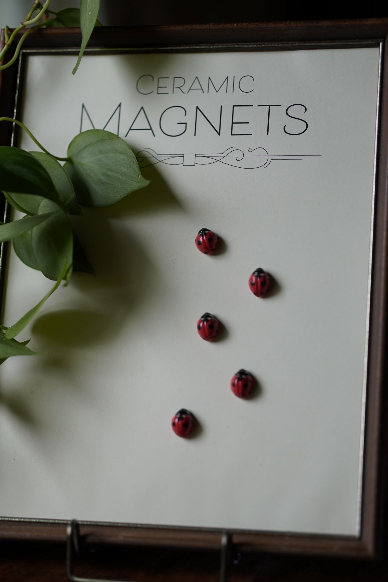 Ladybug Magnets