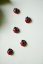 Ladybug Magnets