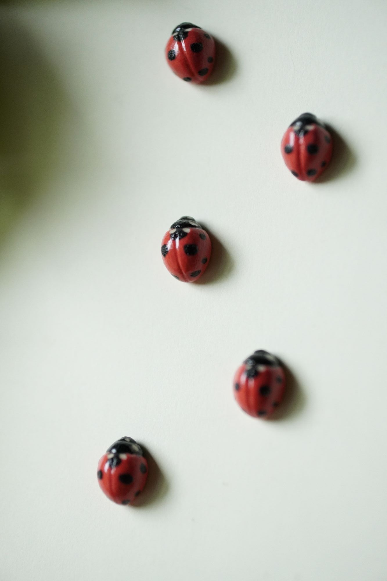 Ladybug Magnets