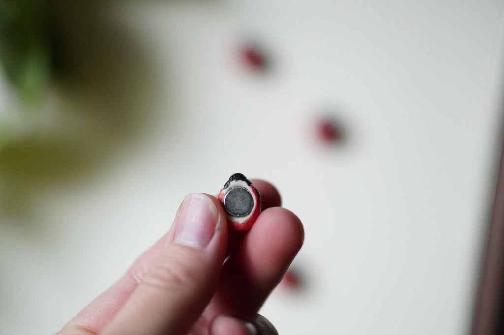 Ladybug Magnets