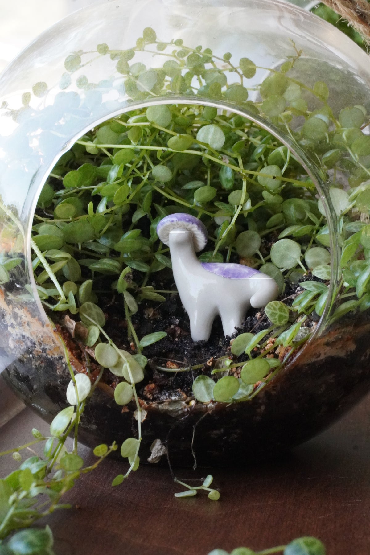 The Cortinarius Iodes Mushroom Dino