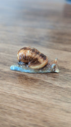 Miniature Snail Magnet
