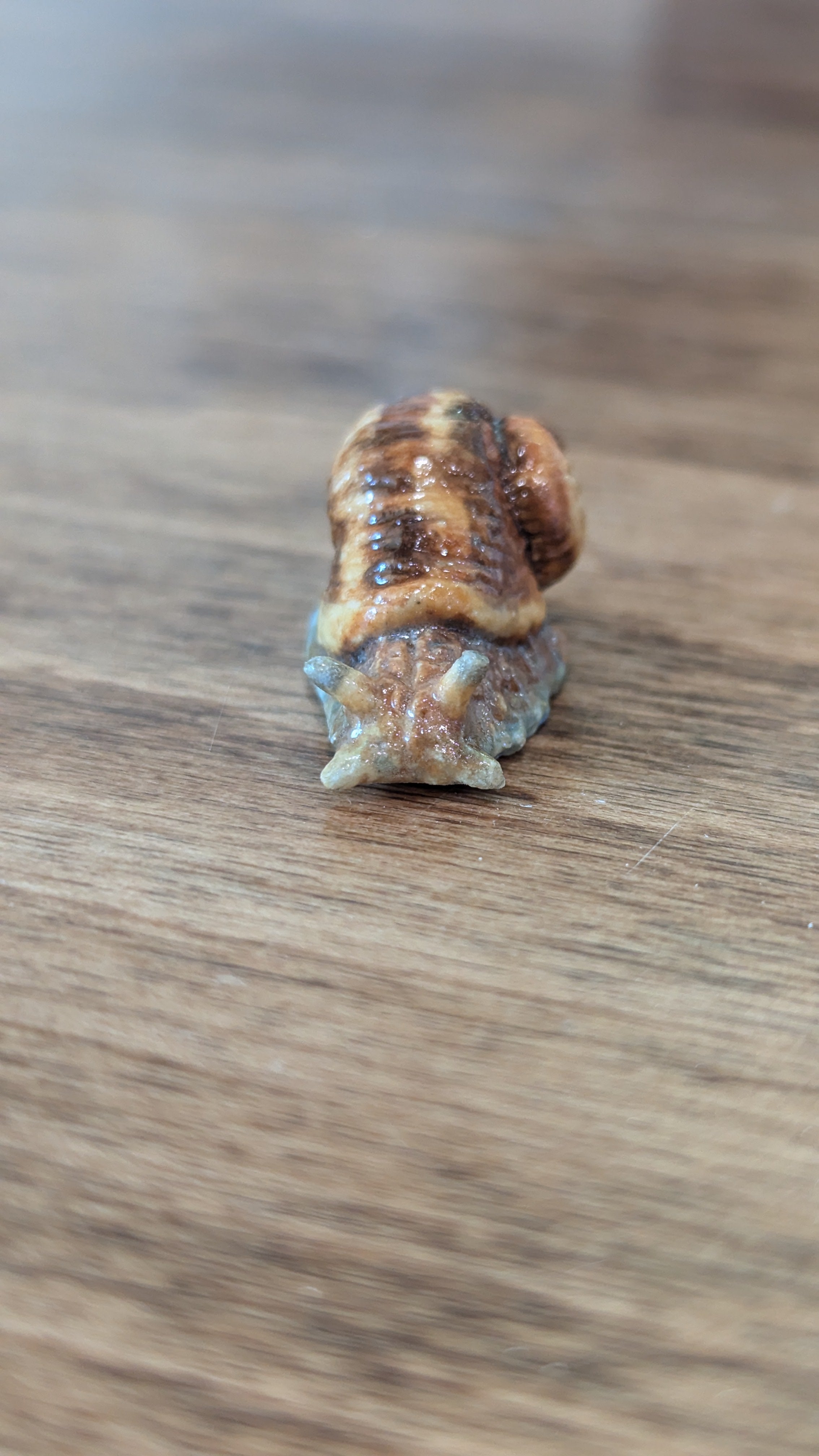 Miniature Snail Magnet