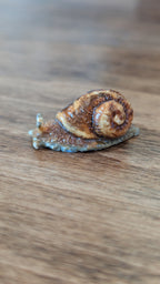 Miniature Snail Magnet