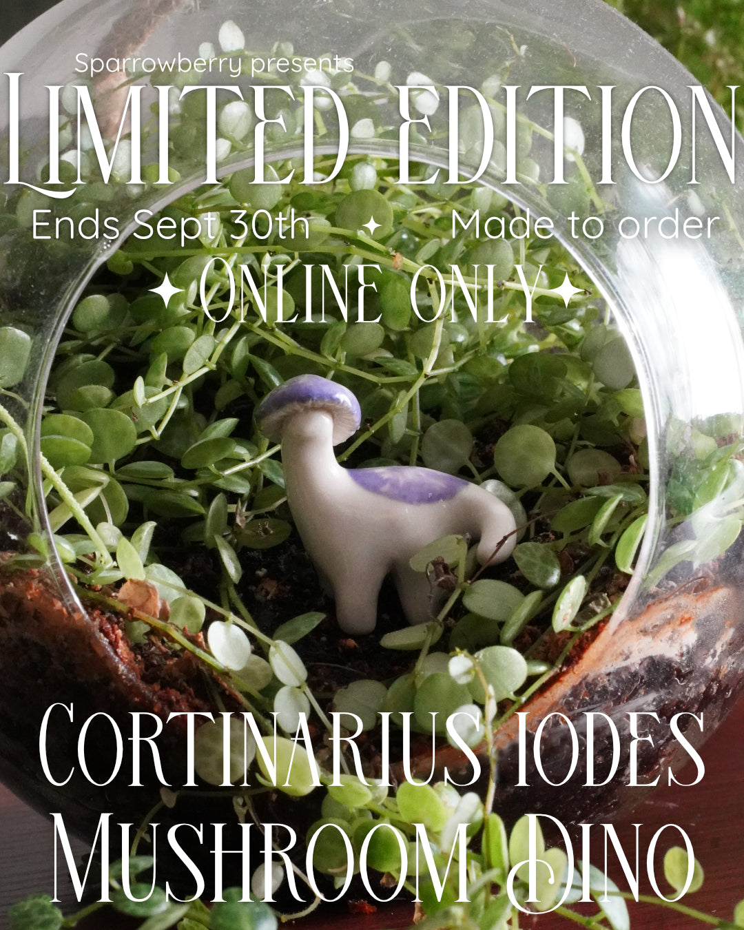 The Cortinarius Iodes Mushroom Dino