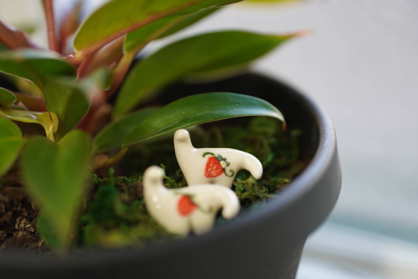 Strawberry Terrarium Buddy Dino