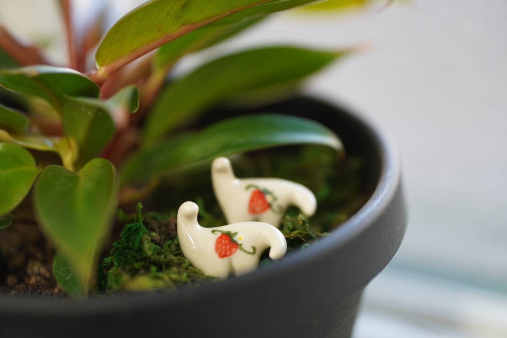 Strawberry Terrarium Buddy Dino