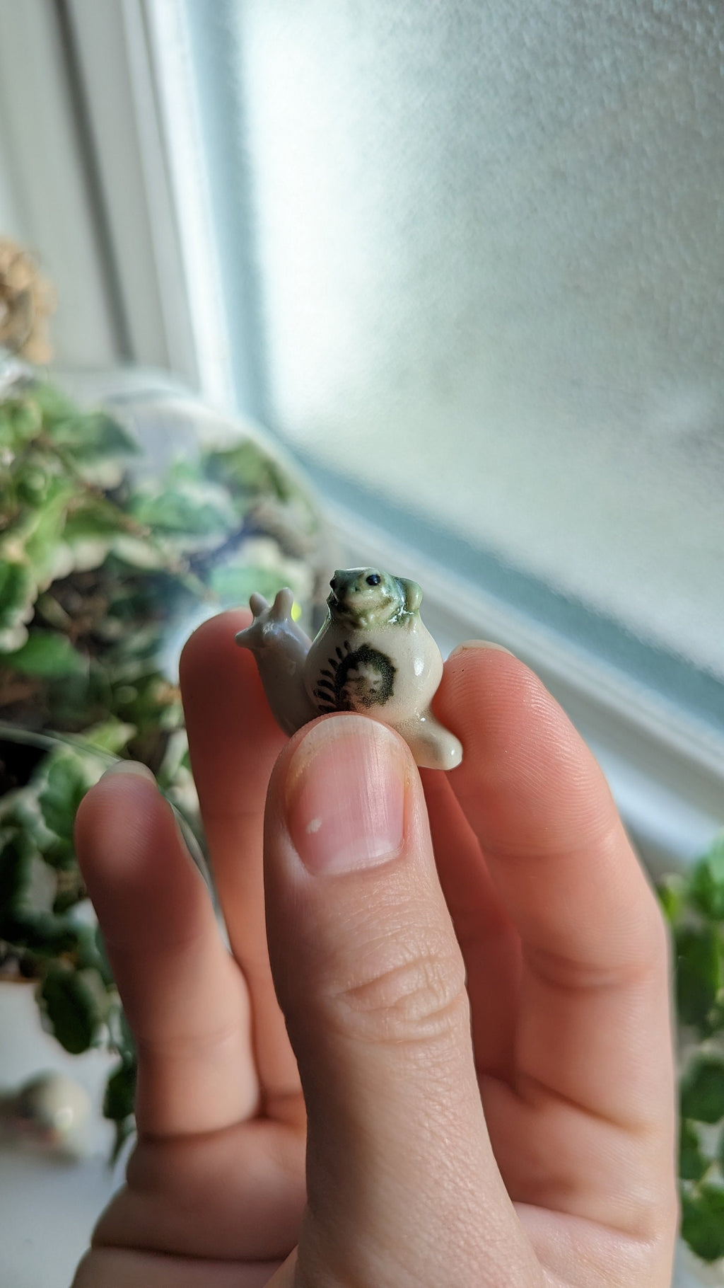 Terrarium Buddies, Snail and Frog