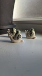 Terrarium Buddies, Snail and Frog