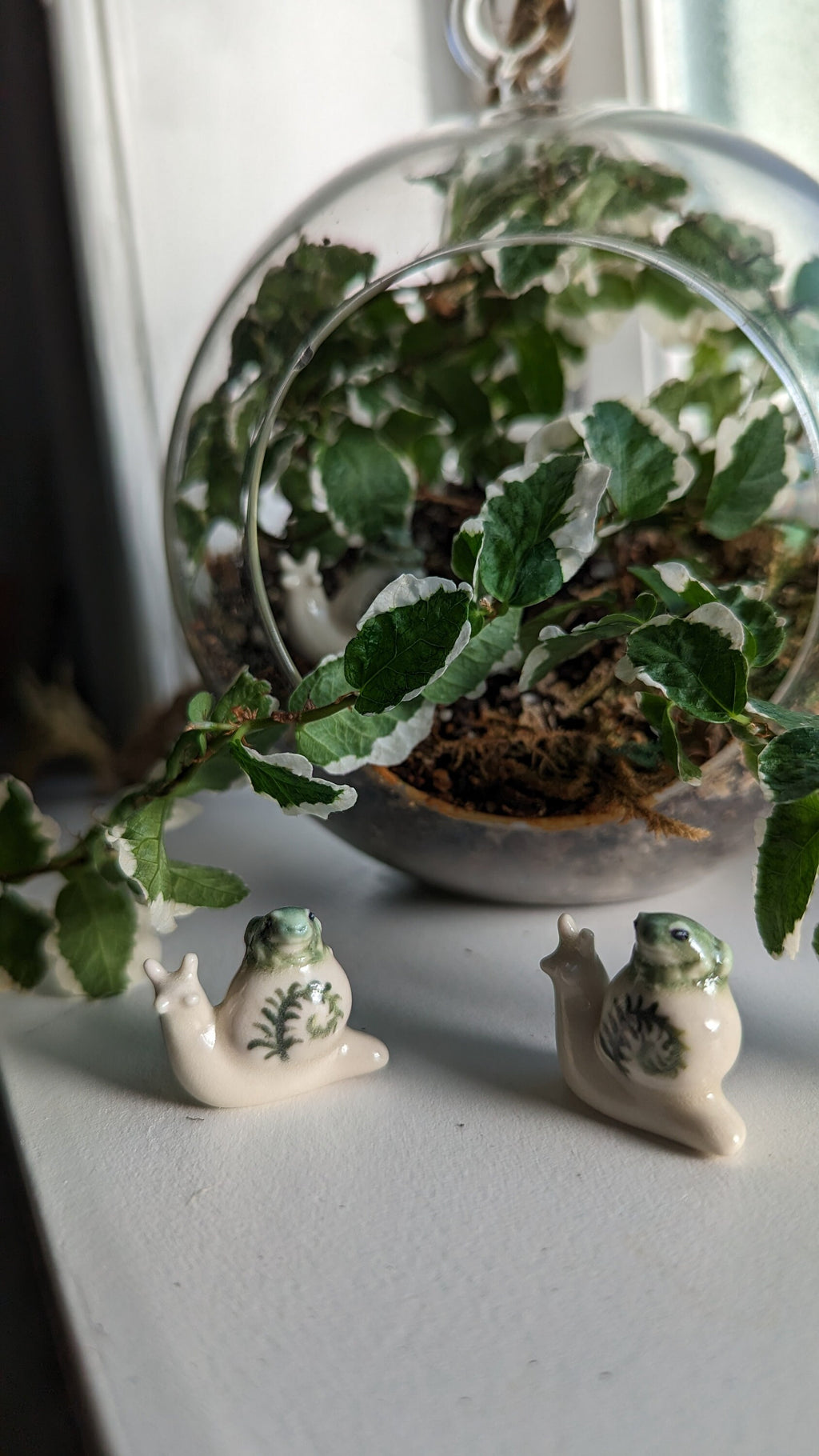 Terrarium Buddies, Snail and Frog