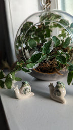 Terrarium Buddies, Snail and Frog