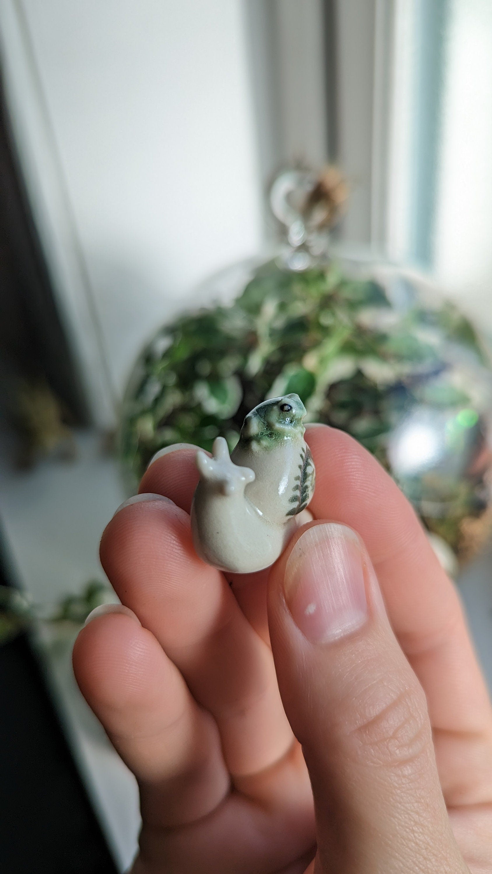 Terrarium Buddies, Snail and Frog