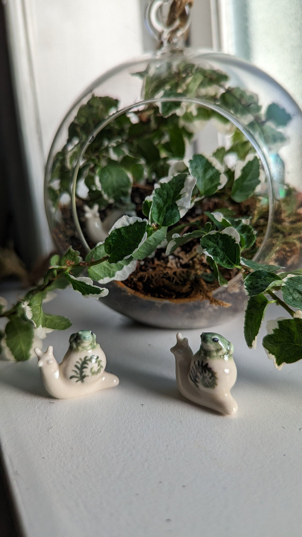 Terrarium Buddies, Snail and Frog