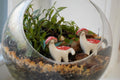 Mushroom, Terrarium Buddy Dino