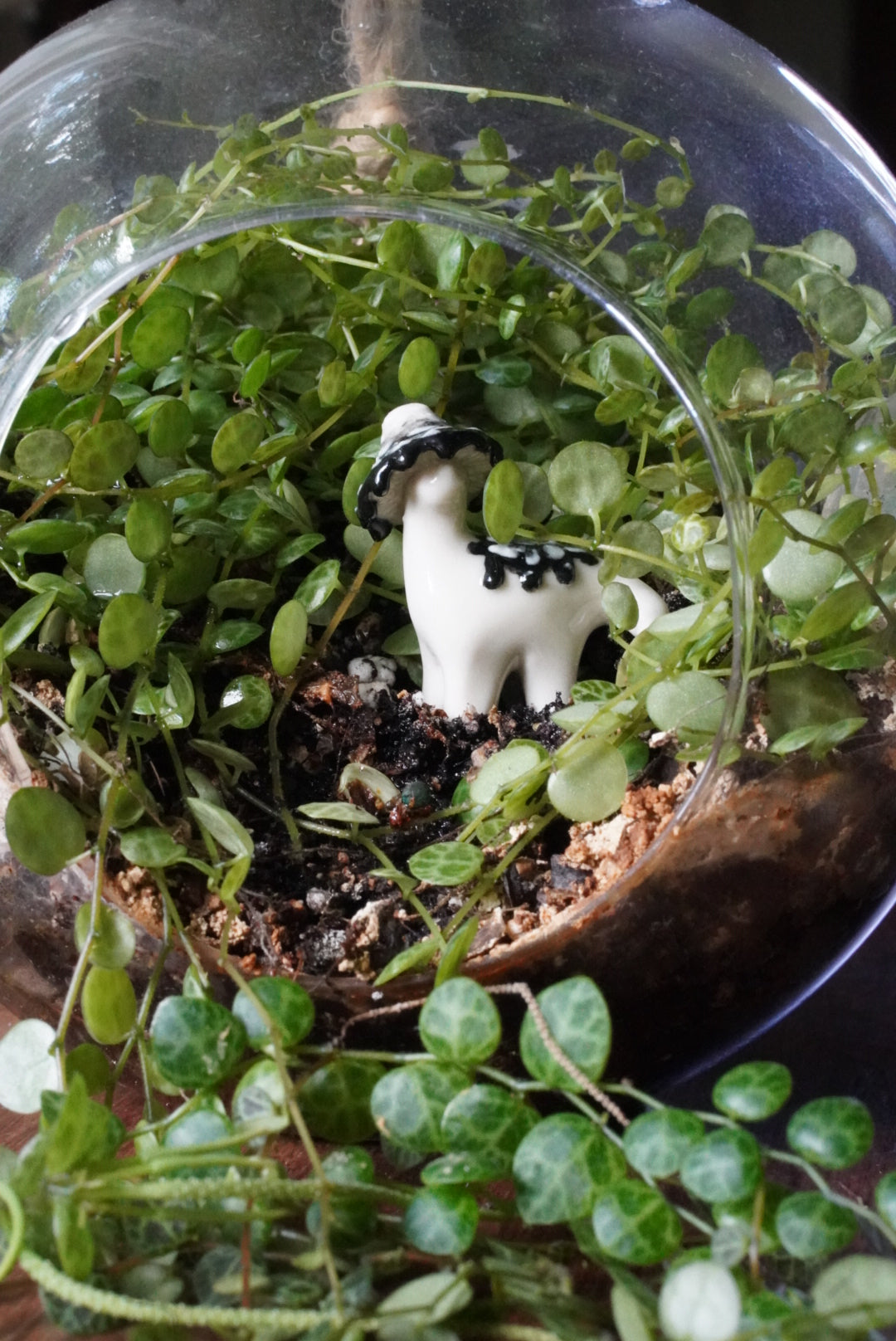 Inky Cap Mushroom Dino