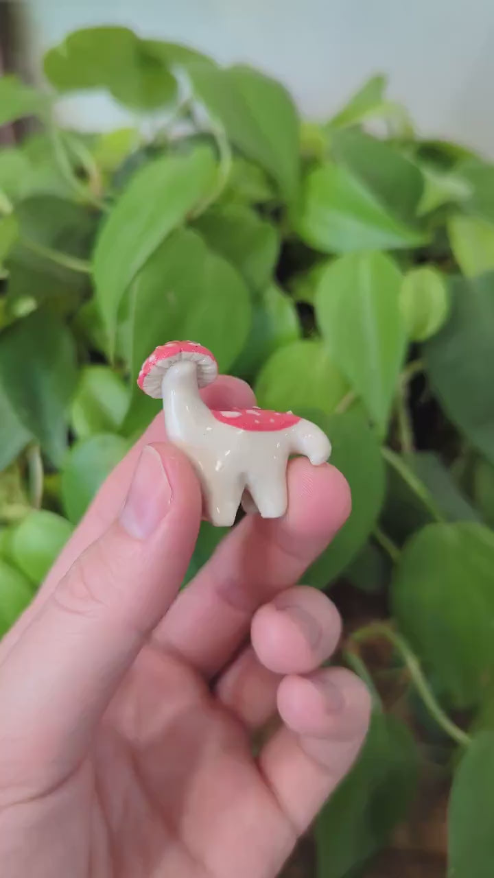 Mushroom, Terrarium Buddy Dino