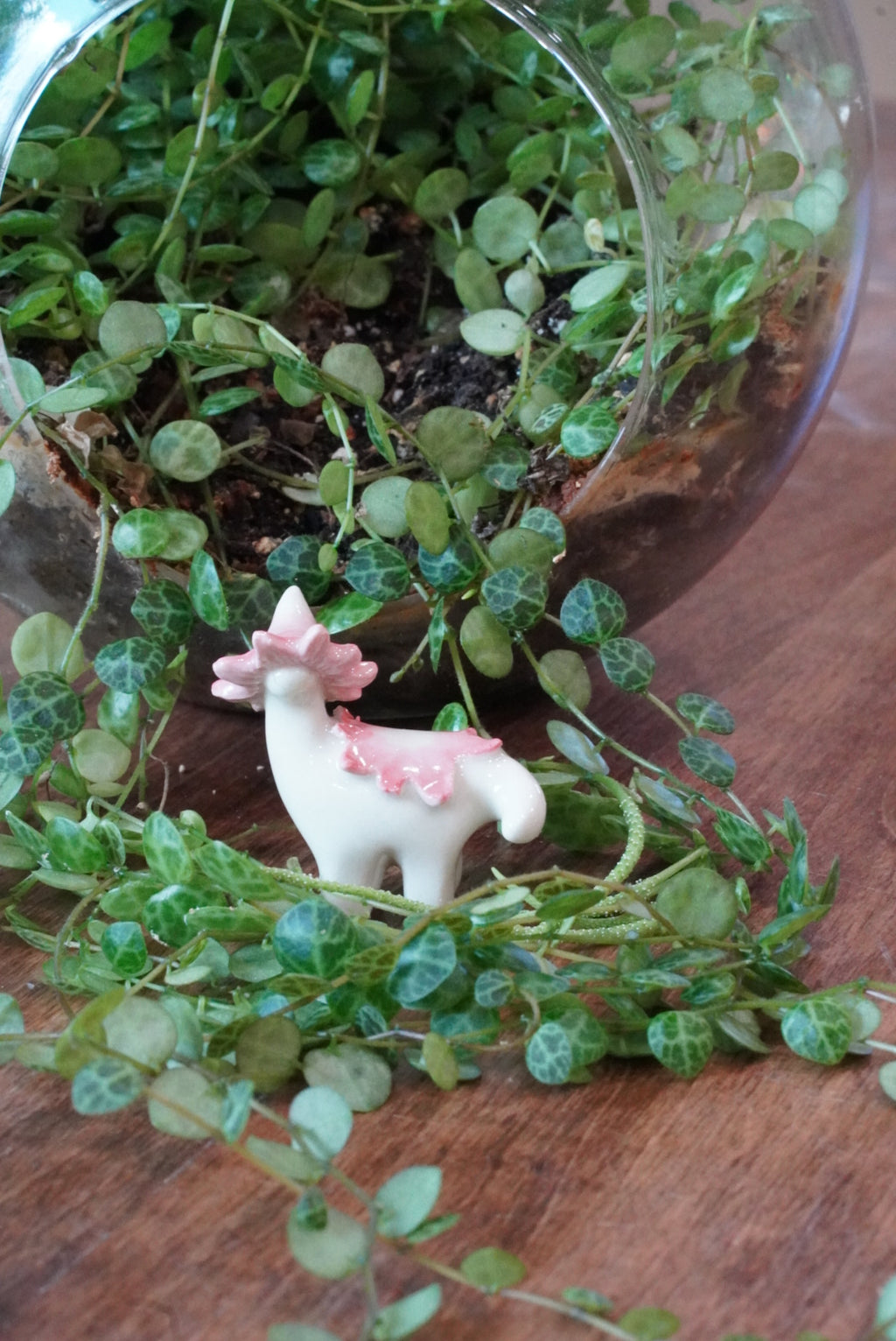 Pink Ballerina Wax Cap Dino