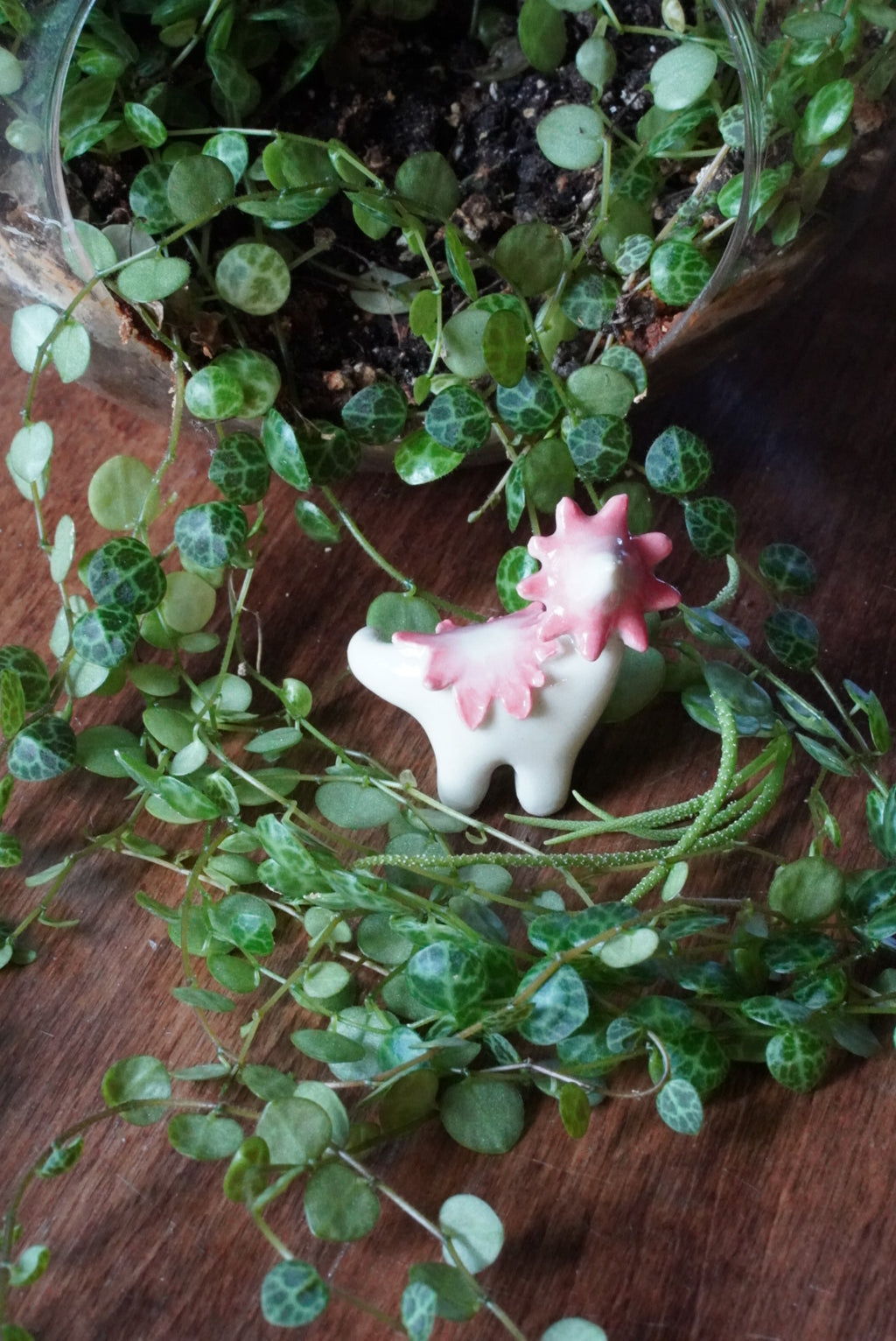 Pink Ballerina Wax Cap Dino