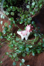 Pink Ballerina Wax Cap Dino