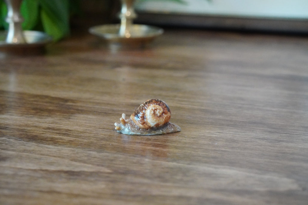 Miniature Snail Magnet