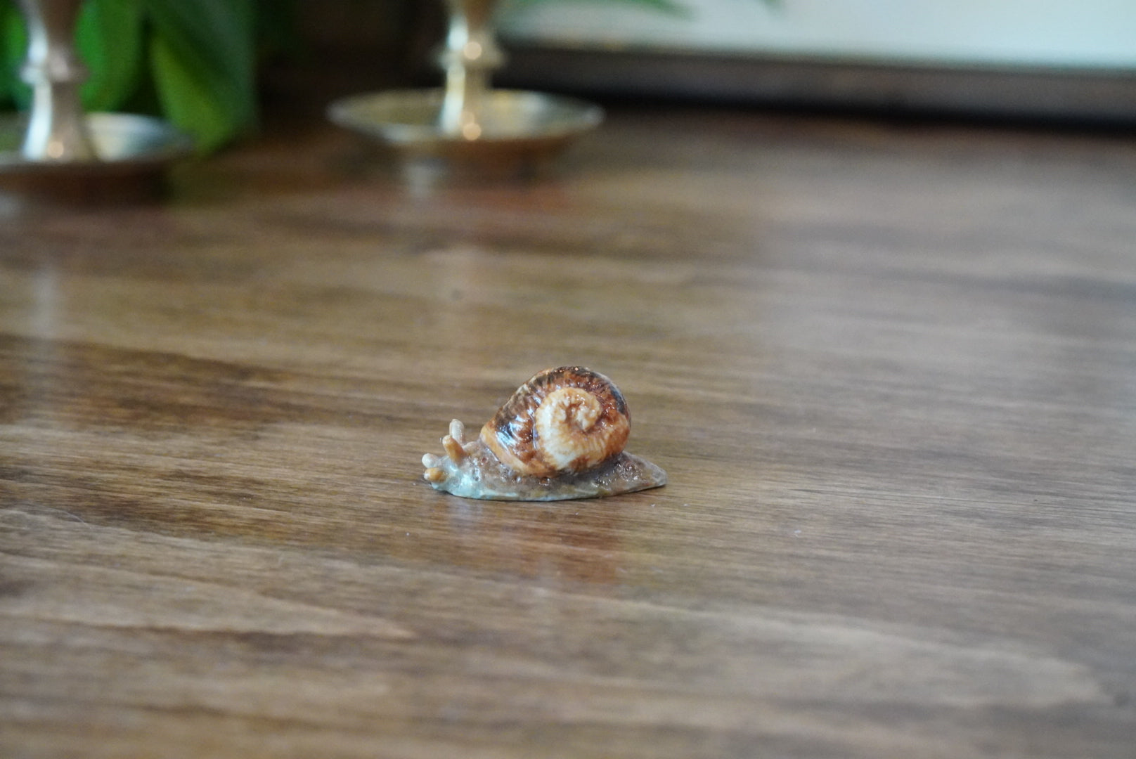 Miniature Snail Magnet