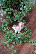 Pink Ballerina Wax Cap Dino