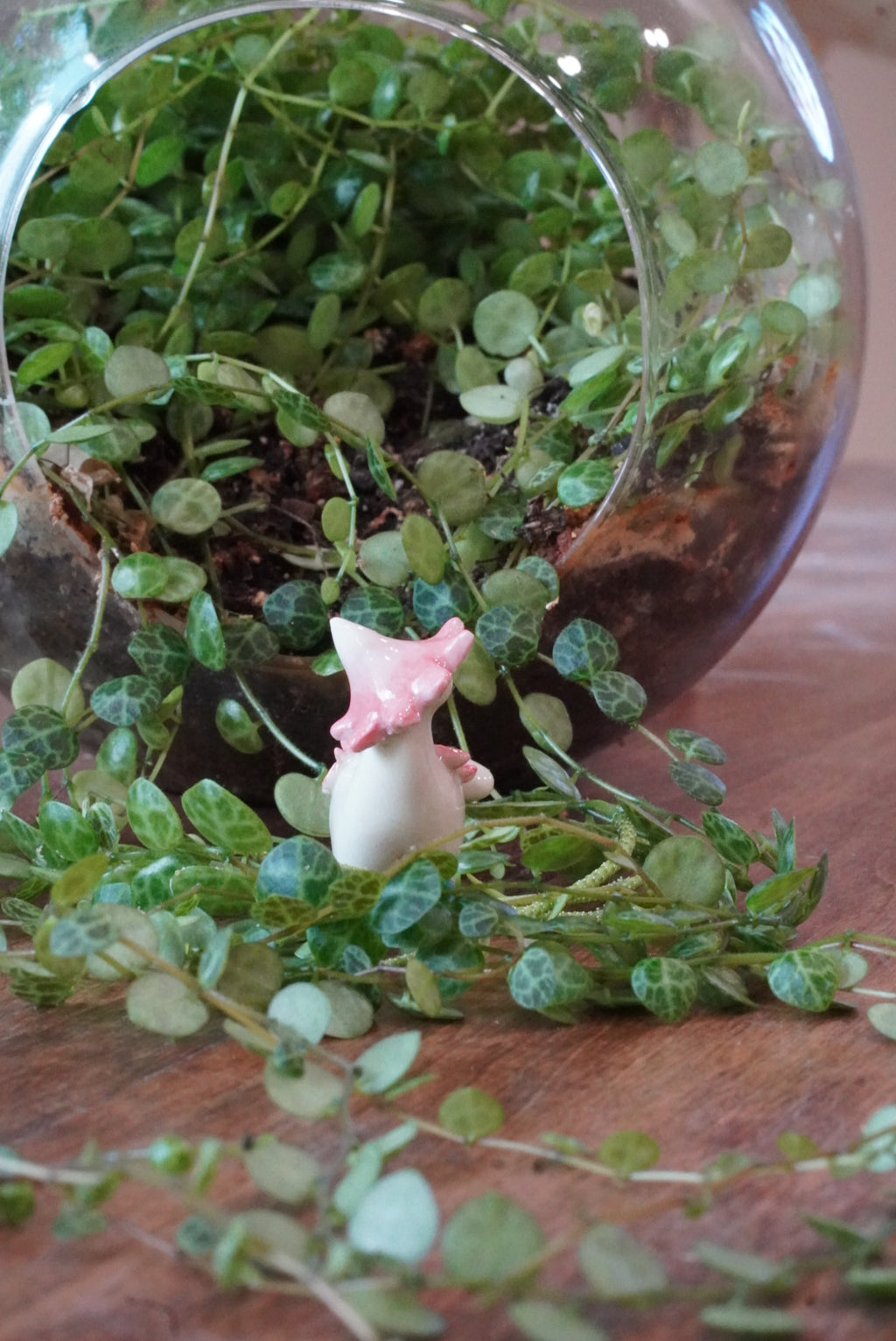 Pink Ballerina Wax Cap Dino