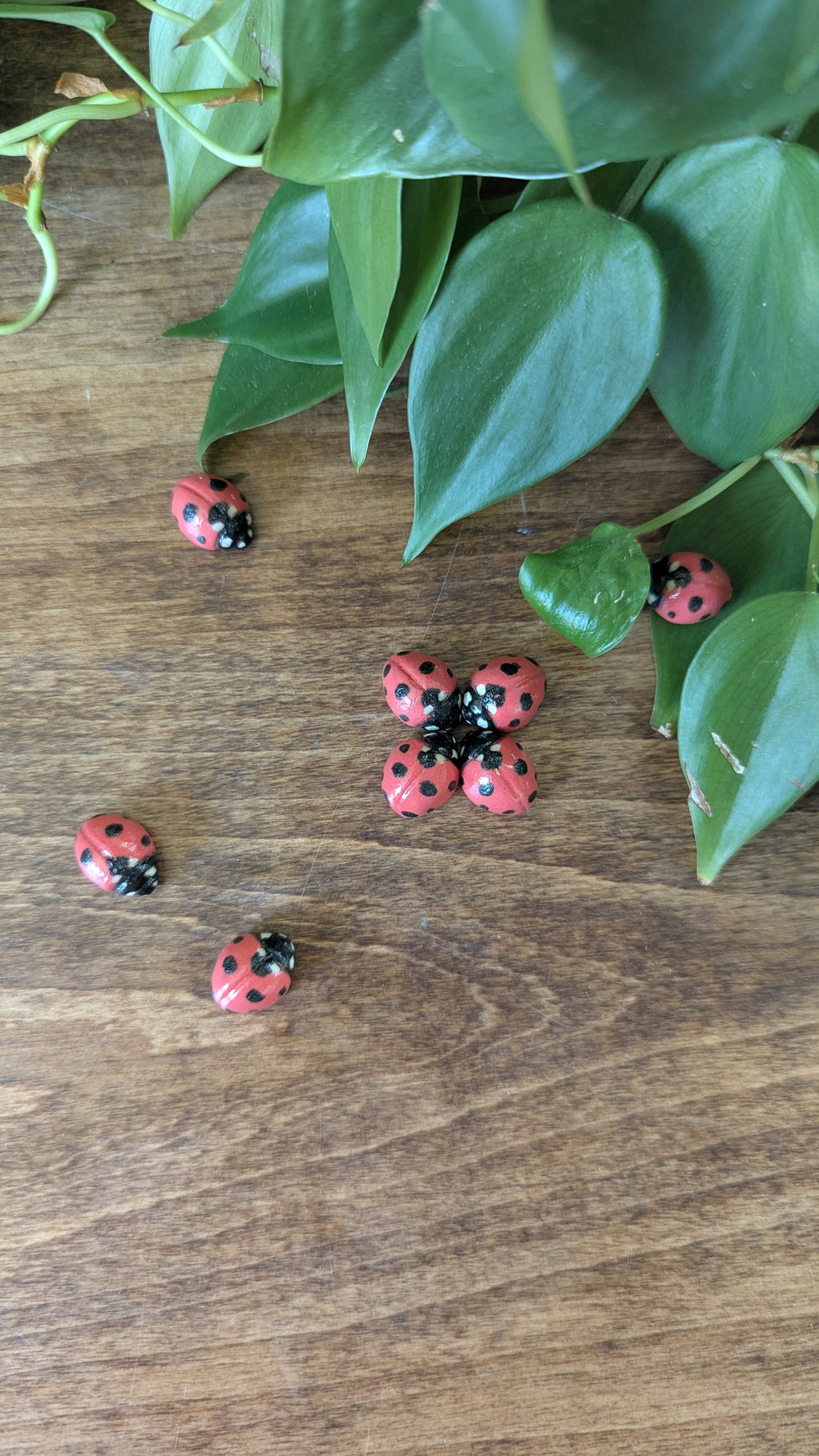 Ladybug Magnets