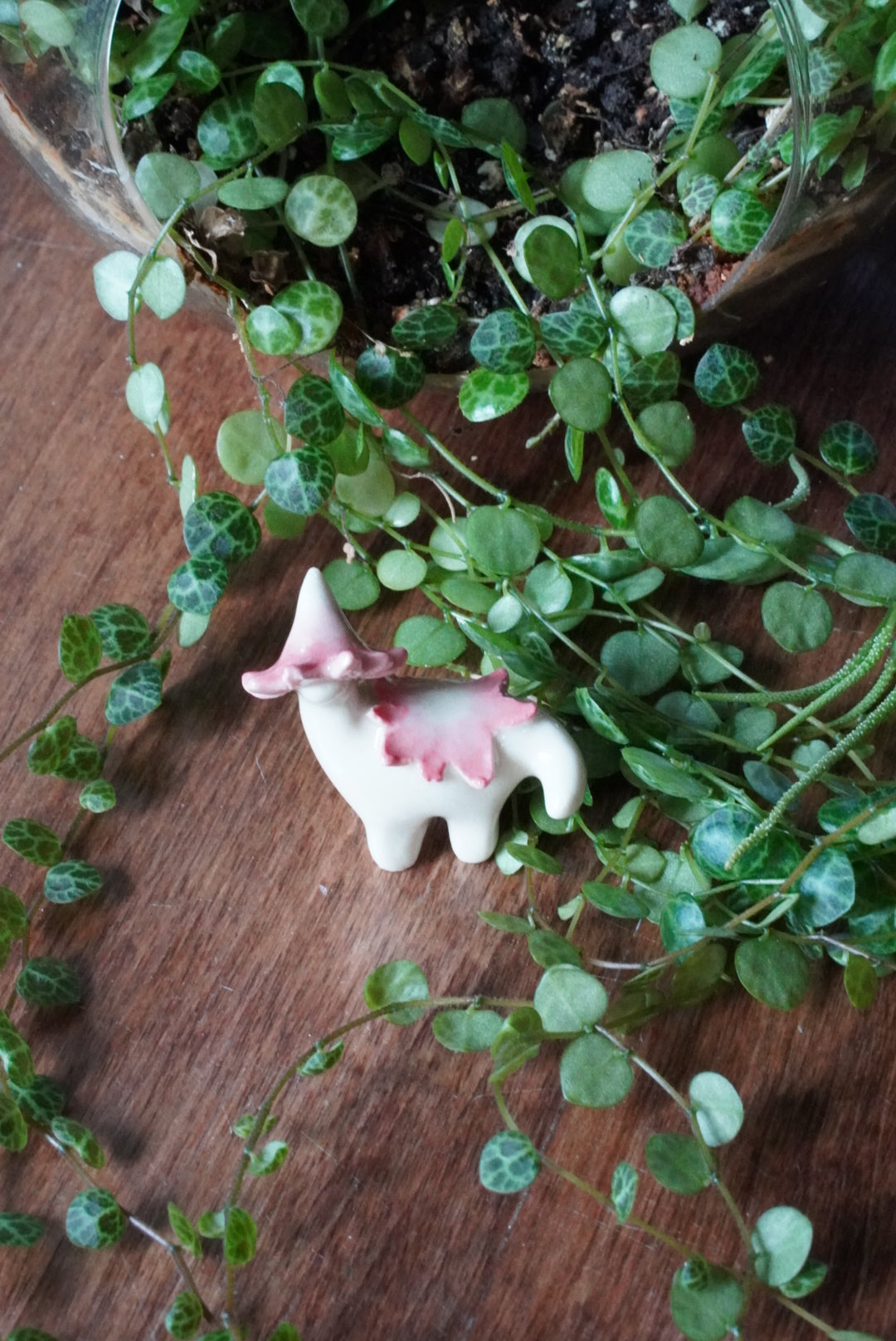 Pink Ballerina Wax Cap Dino